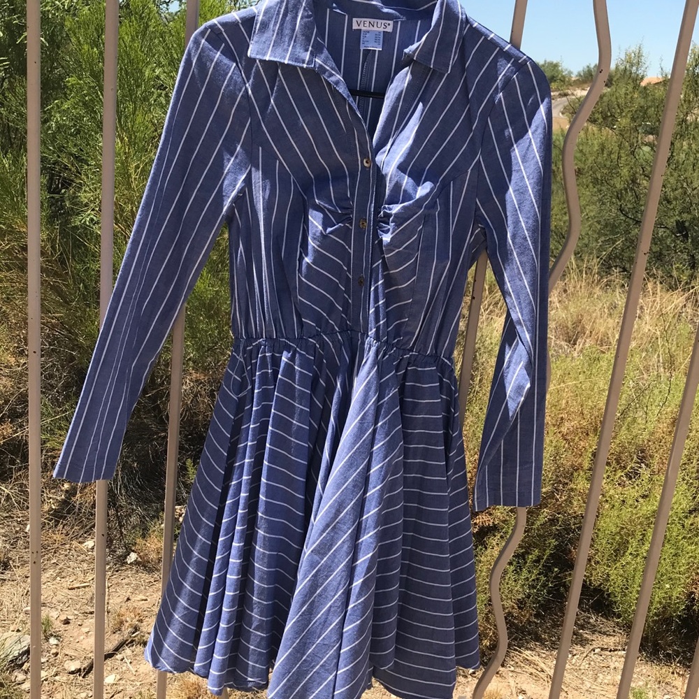 Venus Striped Flared Dress
